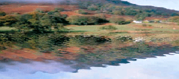 《图六 使用迭加凹凸贴图绘制的水波 图注:从中心扩散开的水波迭加在湖中移动的水波上。着色此影像仅需链接四个三角形。》