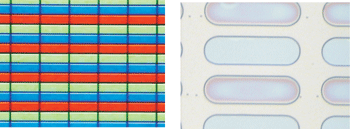 《圖十七　彩色濾光片（左）與PLED（右）成品》