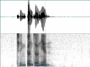 《图三 一段语音的波形与声谱图》