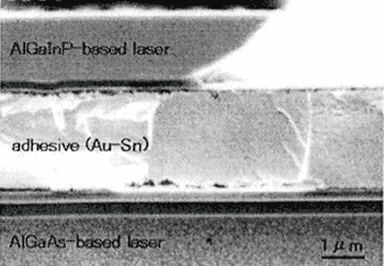 《圖二　紅光/紅外雙波長堆疊雷射端面的SEM照片》