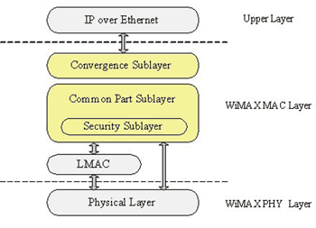 《图四 IEEE Std 802.16标准技术规范参考模型 》