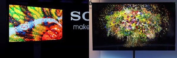 圖三 : SONY及Panasonic兩家日系品牌廠在今年初的CES中都展示了56吋4K OLED TV