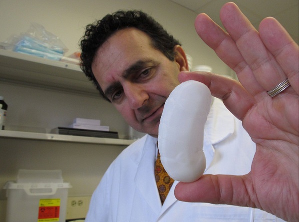 图二 : 器官也能直接打印？图为外科医生Anthony Atala与手上的3D生物打印肾脏的原型。
