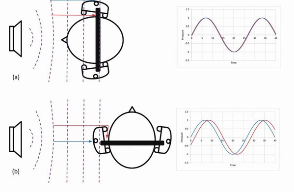 图3 : 前馈式降噪的方向性，（a）与使用者形成0度的噪音，以及（b）与使用者形成90度的噪音