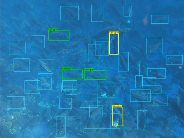 图三 : 透过AI影像分析技术，可以快速标的出鱼只的数量和尺寸，让业者精准掌握产量。（source：海盛科技）