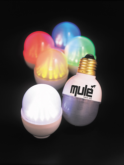 应用传统装置的LED灯泡，可取代原有白炽灯泡。(Source Mule Lighting)