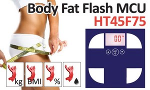 盛群全新Delta Sigma ADC Type Body Fat Flash MCU -- HT45F75内建体脂量测功能