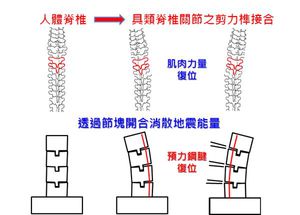 仿生脊锥型预铸桥墩系统设计概念