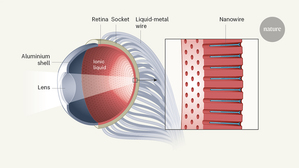 近期研究員在Nature發表了人造眼的研究，並命名為