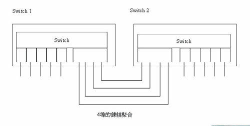 《圖十一 鍊結聚合》