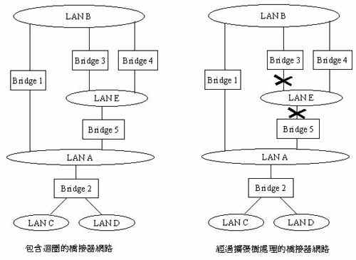 《圖七 擴張樹網路》