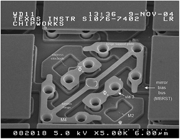 《圖五　第四金屬層M4微鏡下之金屬結構》