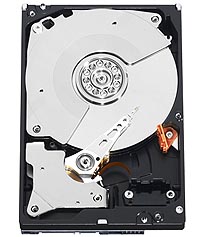 《图十一 透过采用垂直读写技术,目前HDD已达成单碟320GB的容量,并推出容量达1TB的产品。图为WD的1TB及的企业用硬盘。》