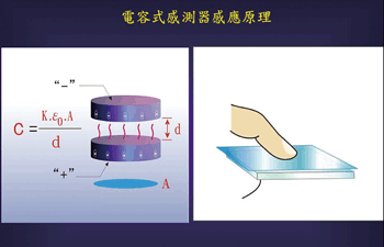 《圖十一a 電容式感測器感應原理示意圖 》