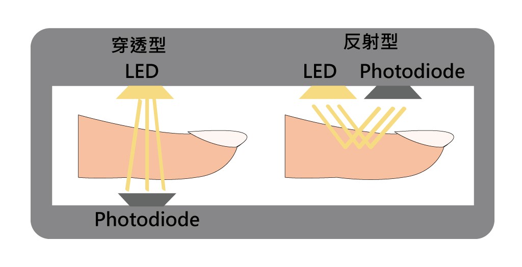 左邊為穿透型，右邊為反射型。(繪圖／林彥伶)