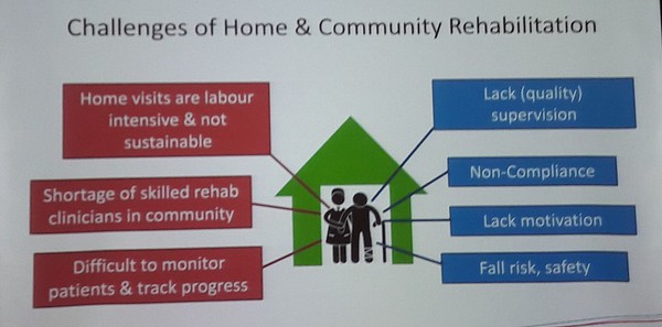 圖6 : 家庭和社區康復的挑戰。（source：新加坡復健研究院 ; 2018/10）