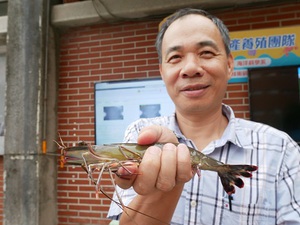 圖一 : 希捷攜手中山大學教授建立「AI蝦」資料庫