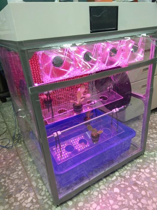 智慧型水耕蔬菜控制系統成品圖