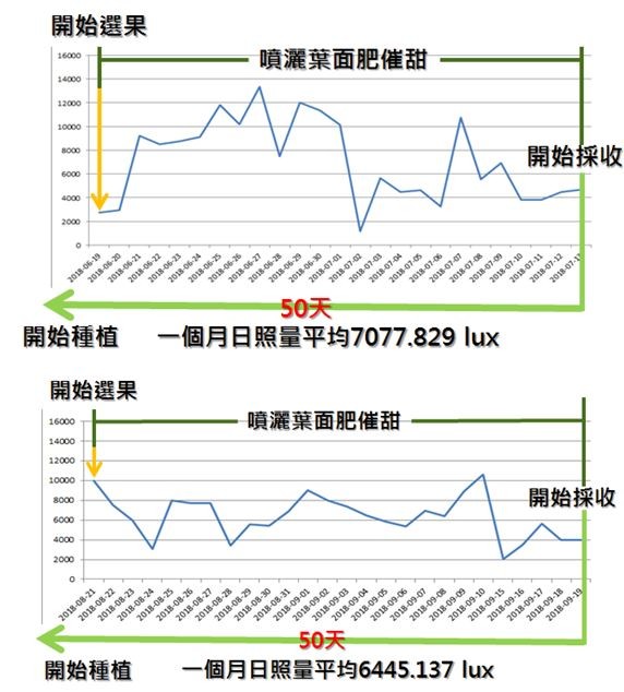 兩種期日照比較