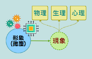 圖一 : 從形象產生種種現象與交互作用示意