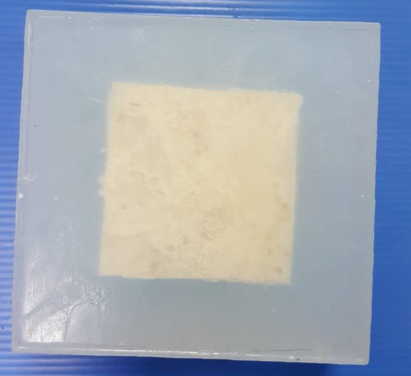 聚胺酯發泡劑上面澆注矽膠的成形結果