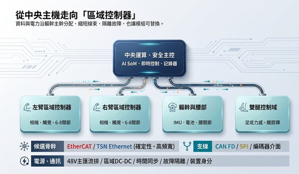 圖二 : 中央主控透過確定性骨幹連接四肢控制域，再由區域控制器管理感測器與關節。
