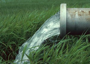 國際組織CDP授予巴斯夫可持續水資源管理A級評等。(source: Arup)