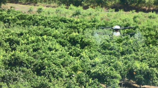 京东无人机喷洒农药