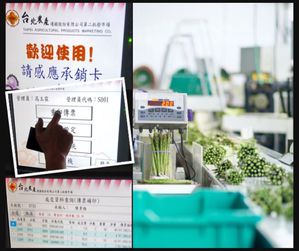 艾訊工業觸控平板電腦成功為【臺北農產運銷公司】導入拍賣詢價系統。
