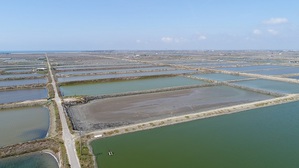 永鑫能源將協助 Google 架設 40,000個太陽能面板至台南的養殖場魚池，將土地有效利用率最大化，並嘉惠當地的養殖業者。