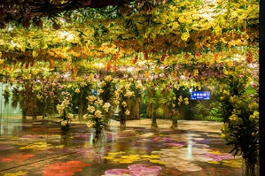 2026臺灣國際蘭展暨花卉科技展強調「自然延伸、科技互融、生活共感」，其中科技導入的深度與規模，成為最大亮點。圖二為「花卉科技展區」以沉浸式展演呈現花卉與科技融合。